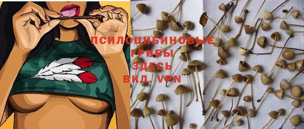 бутират Зеленодольск